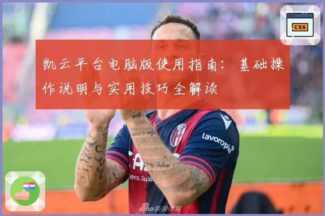 凯云平台电脑版使用指南：基础操作说明与实用技巧全解读